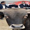 Çiftçiler sosyal medyadan dolandırılıyor Çiftçiler sosyal medyadan dolandırılıyor