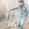 Riva Deresi'nde balık ölümleri