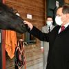 Karadeniz in en büyük binicilik tesisi yenilenecek Karadeniz in en büyük binicilik tesisi yenilenecek