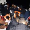 Kaçaklar drone ile tespit edildi Kaçaklar drone ile tespit edildi