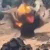 PKK'nın hain tuzağını Mehmetçik bozdu PKK'nın hain tuzağını Mehmetçik bozdu