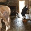 Engelliler besici olma hayallerine devlet desteğiyle ulaştı