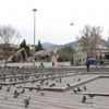 Yıkımı insanlar yerine güvercinler izledi