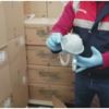 İstanbul'da milyonluk filtreli maske operasyonu İstanbul'da milyonluk filtreli maske operasyonu