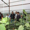 Gördes Kaymakamı Bilgin, Seraları Yerinde İnceledi