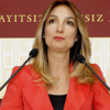 Nazlıaka’dan organik tarım teklifi Nazlıaka’dan organik tarım teklifi