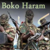 Boko Haram esir aldığı 20 kişiyi serbest bıraktı Boko Haram esir aldığı 20 kişiyi serbest bıraktı