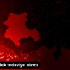 Yaralı leylek tedaviye alındı Yaralı leylek tedaviye alındı