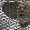 Mısır'da ilk defa Mursi taraftarı olan bir kişi idam edildi!
