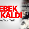 Bebek Aç Kaldı: Kedilere Yardım Yağdı!