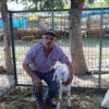 Bir kurban alana bir kurban bedava Bir kurban alana bir kurban bedava