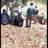 Traktör devrildi: 1 ölü