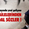 Edremit Belediyesi Gürespor Çeyrek Finalde Edremit Belediyesi Gürespor Çeyrek Finalde
