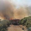 Çanakkale'de ormanlık alanda yangın