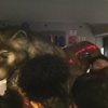 Galatasaray'ın Aslan'ı çalındı