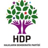 HDP'li eş başkanlar serbest bırakıldı