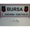 Jandarmadan Tarihi Eser Kaçakçılarına Büyük Darbe Jandarmadan Tarihi Eser Kaçakçılarına Büyük Darbe