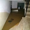 Sel suları denizi bu hale getirdi Sel suları denizi bu hale getirdi