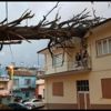 İzmir'de anıt ağaç evin çatısına devrildi İzmir'de anıt ağaç evin çatısına devrildi