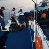 63 koy, 705 kilometrede köşe kapmaca 63 koy, 705 kilometrede köşe kapmaca