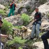 Dağda mahsur kalan çoban köpeği kurtarıldı Dağda mahsur kalan çoban köpeği kurtarıldı