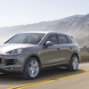 Cayenne'e 2 kardeş Cayenne'e 2 kardeş