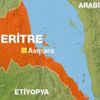 Uluslararası topluma "Eritre-Etiyopya barışını destekleme" çağrısı
