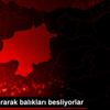 Buzları kırarak balıkları besliyorlar