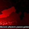 Avokado Mersinli çiftçilerin yüzünü güldürüyor
