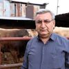 Kurbanlıklarda, 1 Liralık artış Kurbanlıklarda, 1 Liralık artış