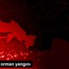 Muğla da orman yangını