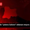 Kırklareli de "yalancı bahara" aldanan meyve ağaçları ... Kırklareli de "yalancı bahara" aldanan meyve ağaçları ...
