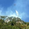 Osmaniye'deki orman yangını devam ediyor