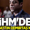 AİHM'den Selahattin Demirtaş kararı AİHM'den Selahattin Demirtaş kararı