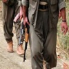Bingöl'de eylem hazırlığı yapan 9 PKK'lı yakalandı Bingöl'de eylem hazırlığı yapan 9 PKK'lı yakalandı