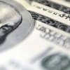 Dolarda yeni rekor Dolarda yeni rekor