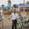 Antalya'da faytonculuk sona erdi Antalya'da faytonculuk sona erdi