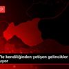 Gaziantep te kendiliğinden yetişen gelincikler görsel ... Gaziantep te kendiliğinden yetişen gelincikler görsel ...