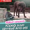 Ömer Çatkıç'a FETÖ gözaltısı