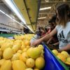 Limon ihracatında ön izin kalktı Limon ihracatında ön izin kalktı