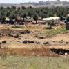 Kilis’te 2 IŞİD'li Tutuklandı