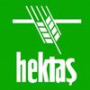 HEKTAŞ'tan rekor büyüme HEKTAŞ'tan rekor büyüme