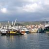 Küçükkuyu da balıkçıların yüzünü hamsi güldürüyor Küçükkuyu da balıkçıların yüzünü hamsi güldürüyor
