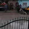At, kepçeyle kamyona böyle atıldı At, kepçeyle kamyona böyle atıldı