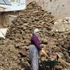 Tezek bile pahalandı Tezek bile pahalandı