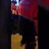 Trafik kazası: 3 yaralı Trafik kazası: 3 yaralı