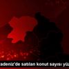 Doğu Karadeniz de satılan konut sayısı yüzde 38,9 ...