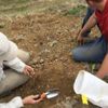 23 milyon yıllık fosil bulundu