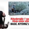 Hasip Kaplan'dan Yırca'daki zeytin ağacı isyanı