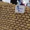 Depoya girmeyen patates şehirde 2 lira Depoya girmeyen patates şehirde 2 lira